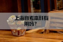 上海自考本科有用吗？