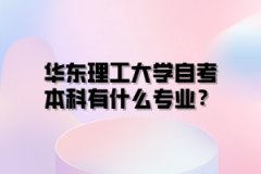 华东理工大学自考本科有什么专业？