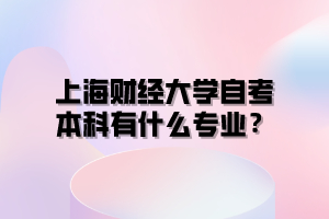 上海财经大学自考本科有什么专业？