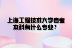 上海工程技术大学自考本科有什么专业？