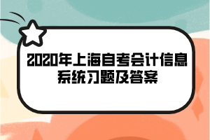 2020年上海自考《会计信息系统》习题及答案(7)