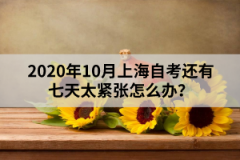 2020年10月上海自考还有七天太紧张怎么办？