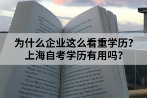 为什么企业这么看重学历？上海自考学历有用吗？