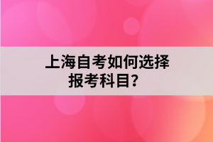 上海自考如何选择报考科目？