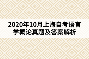 2020年10月上海自考语言学概论真题及答案解析