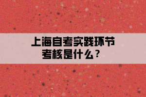 上海自考实践环节考核是什么？