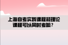 上海自考实践课程和理论课程可以同时考嘛？