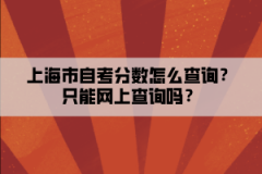 上海市自考分数怎么查询？只能网上查询吗？