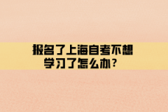 报名了上海自考不想学习了怎么办？