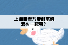 上海自考大专和本科怎么一起考？